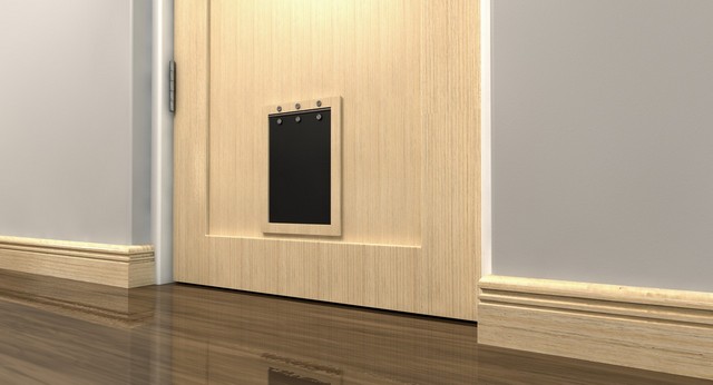 Cat Flap Installation Poplar, Isle of Dogs, Millwall, E14