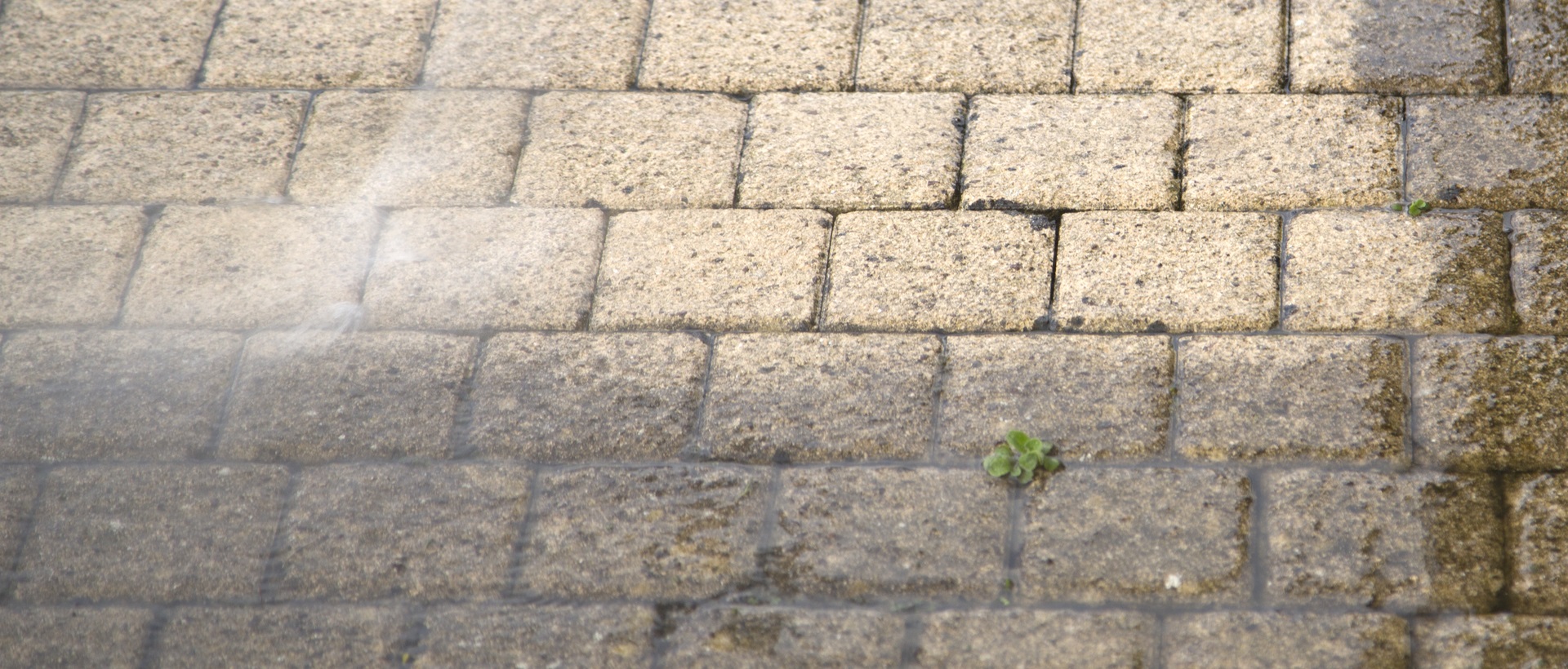 flagging and patios E14