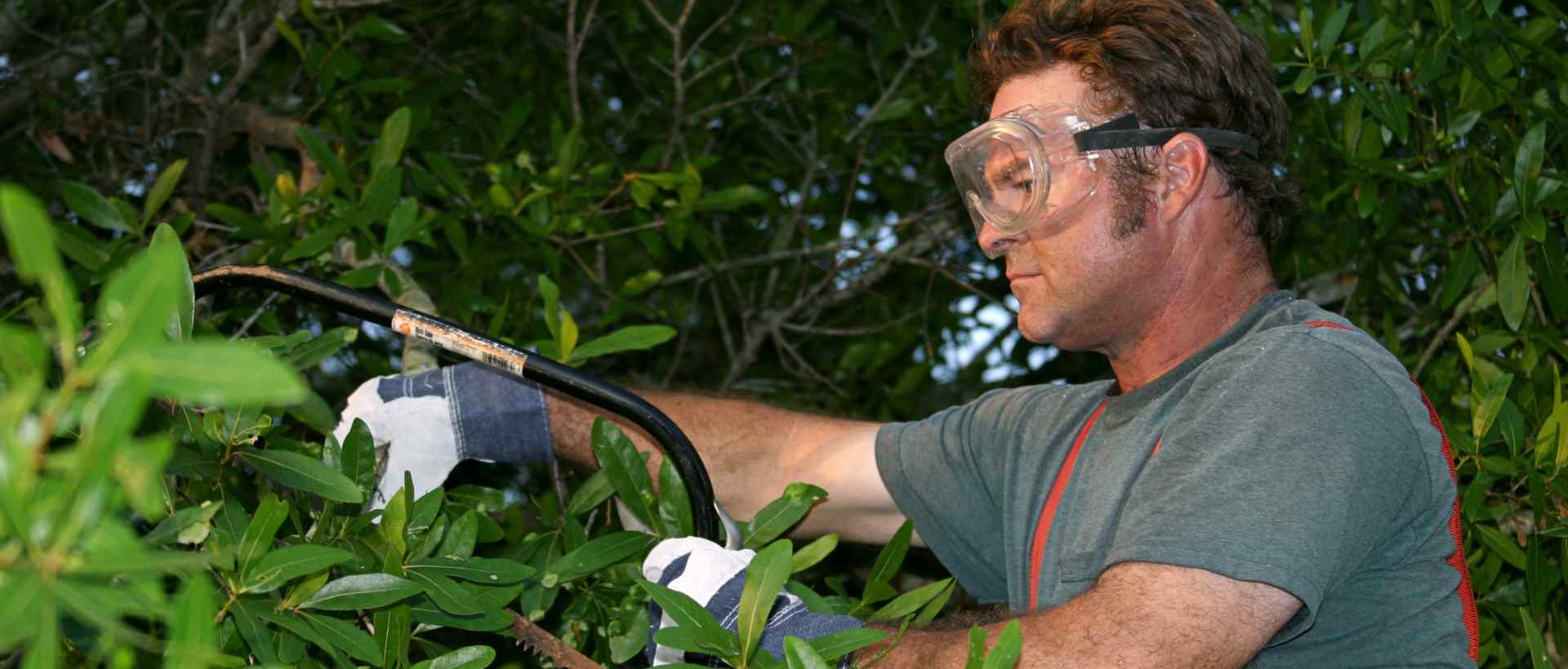 garden clearance E14